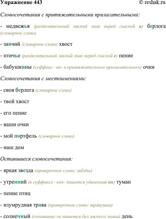 Изображение 443 Выпишите (по образцу) в один столбик словосочетания, в состав которых входят притяжательные прилагательные, а в другой словосочетания с местоимениями. На что...