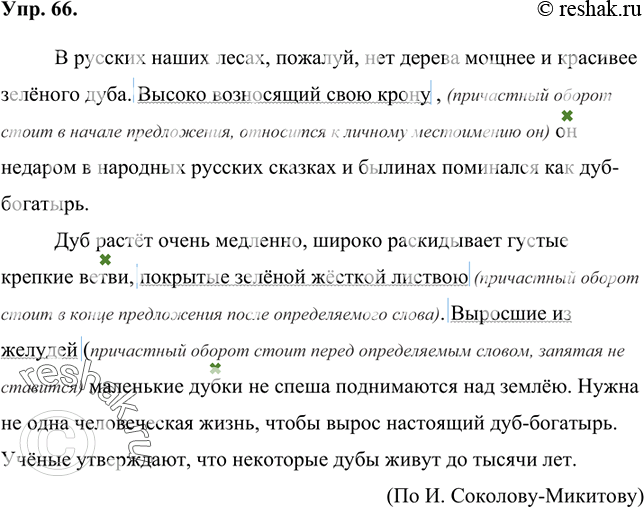 Изображение 66 Запишите текст, расставляя, где необходимо, знаки препинания. Найдите предложение, в котором причастный оборот относится к личному местоимению. Графически обозначьте...